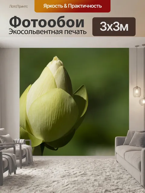 Фотообои Lotus