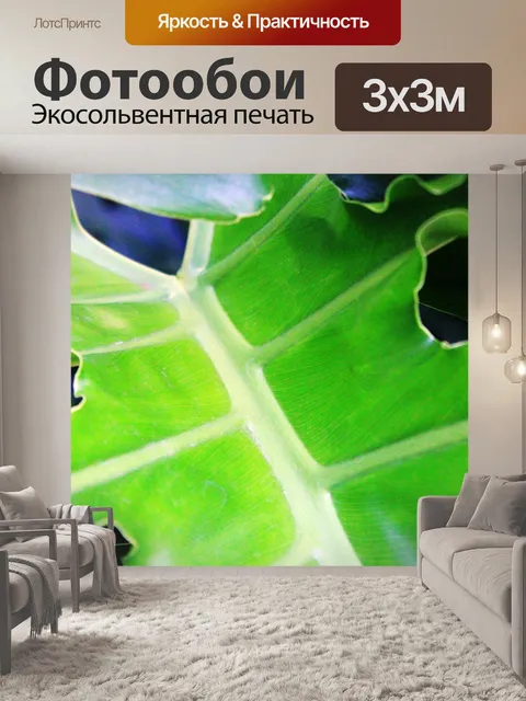 Фотообои Листья текстуры фона