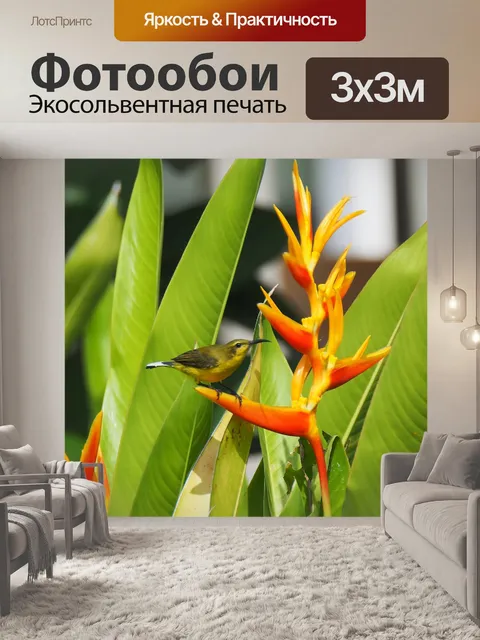 Фотообои Птица