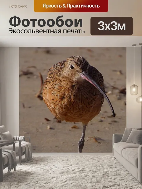 Фотообои Птица