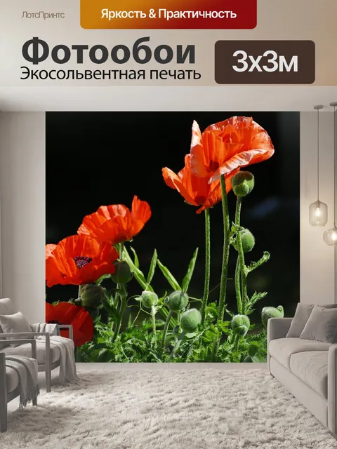 Фотообои Мак