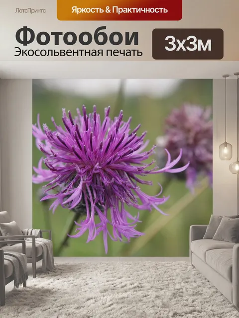 Фотообои Луг