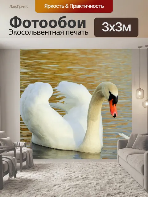 Фотообои Перья