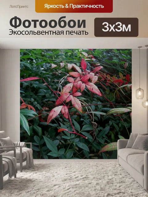 Фотообои Листья