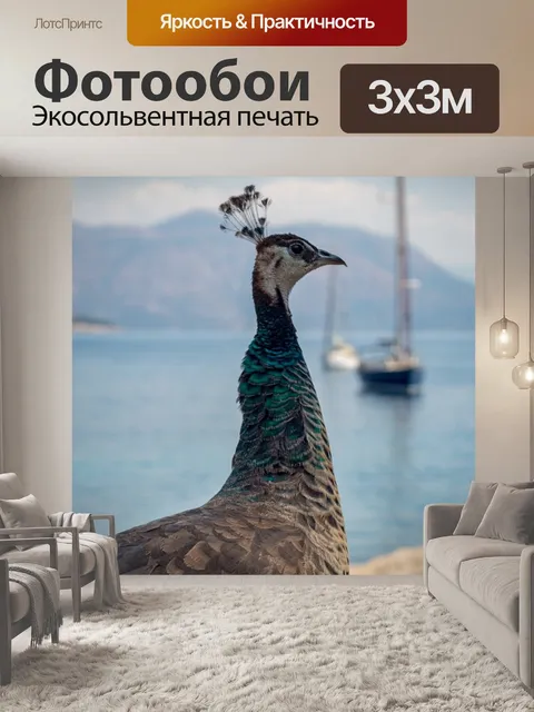 Фотообои Павлин