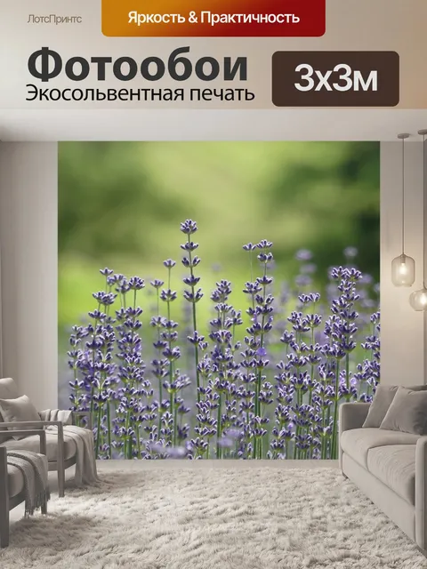 Фотообои Лаванда