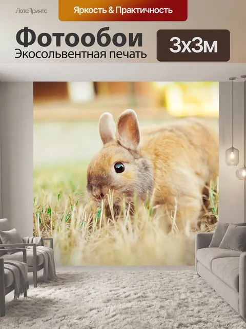 Фотообои Кролик