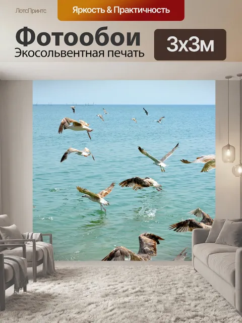 Фотообои Чайка
