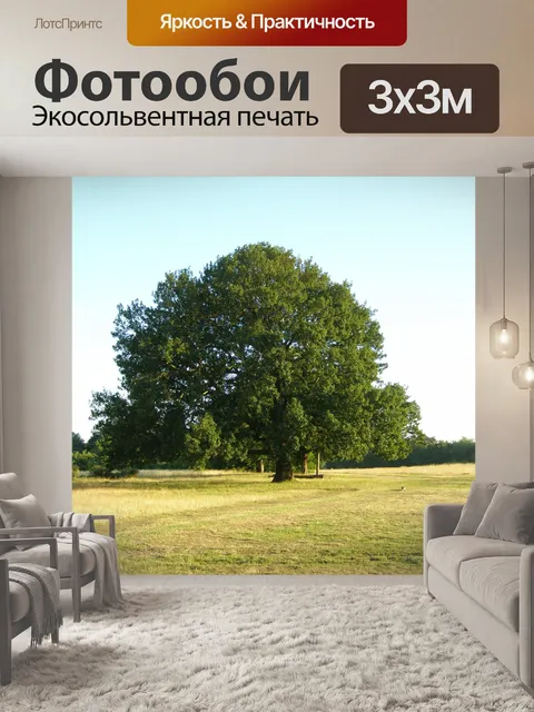 Фотообои Дерево