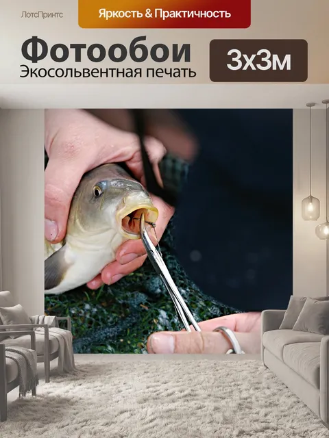 Фотообои Карп