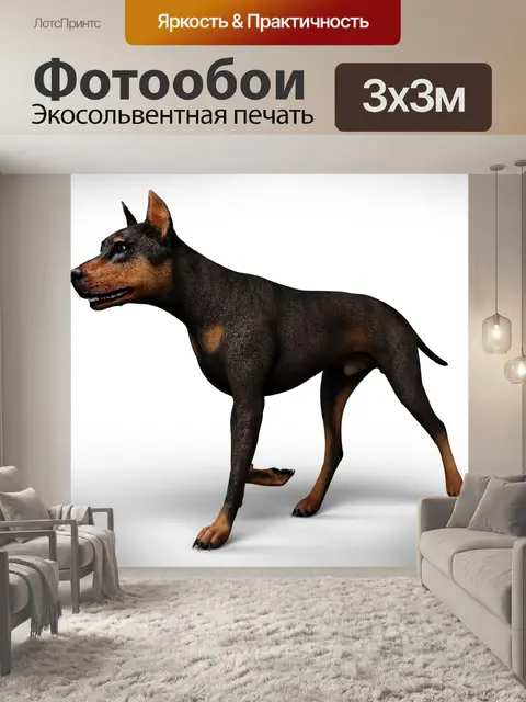 Фотообои Animal