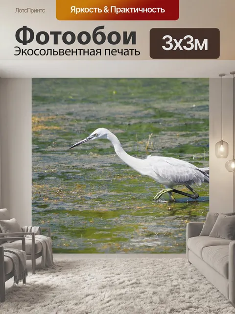 Фотообои Природа
