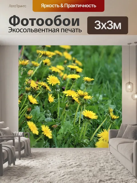 Фотообои Одуванчики
