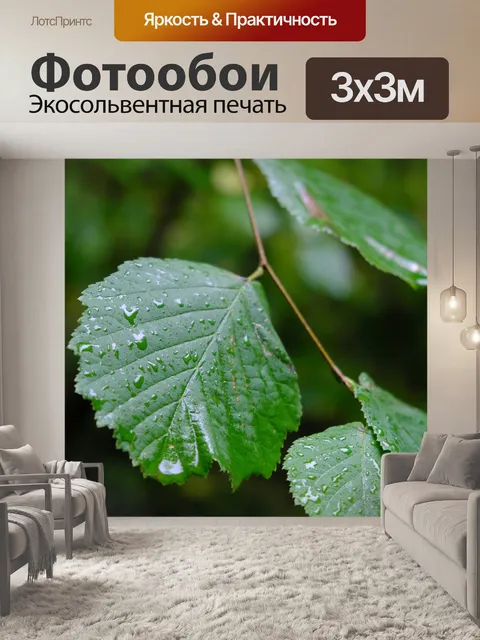 Фотообои Листья