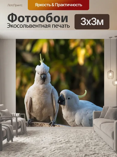 Фотообои Серный хохлатый какаду