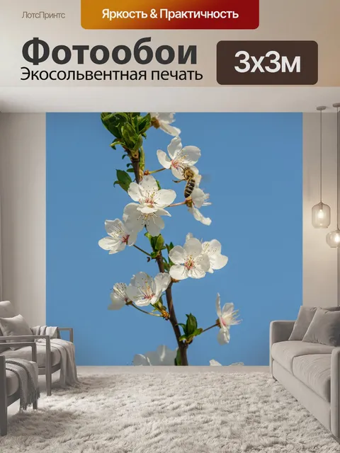 Фотообои Цветы