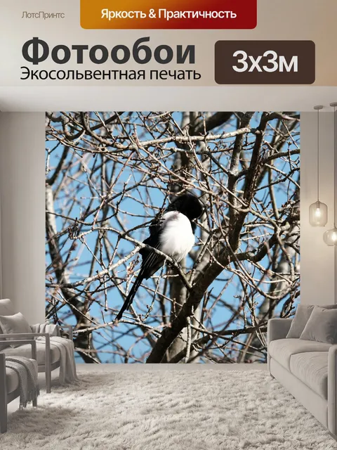 Фотообои Сорока на деревьях