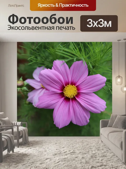Фотообои Цветок