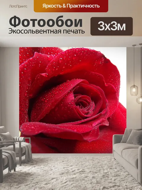 Фотообои Роза
