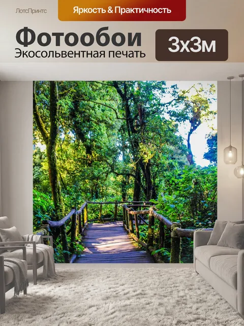 Фотообои Тропический лес в Дои Интанон, Чиангмай