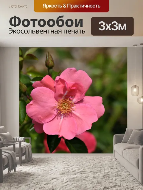 Фотообои Яркий Петуния цветок