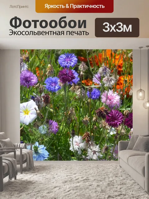 Фотообои Цветы