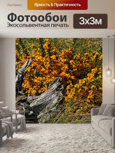 Фотообои Желтые цветы в Дрифтвуд