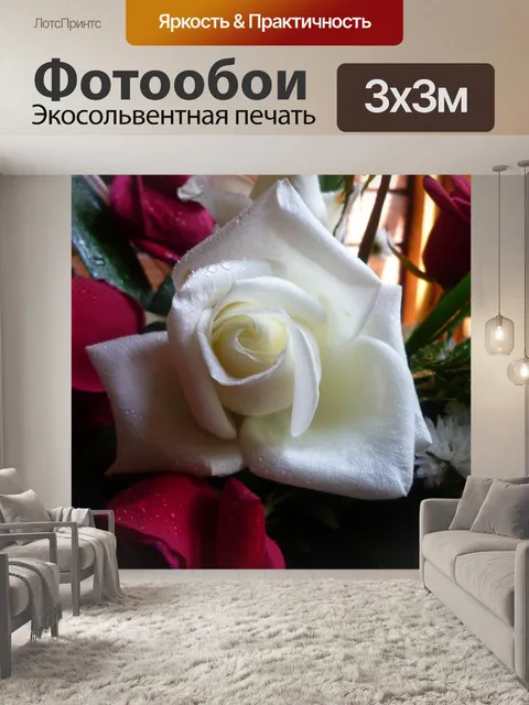 Фотообои Роза