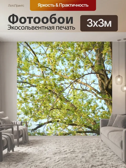 Фотообои Листья зеленого