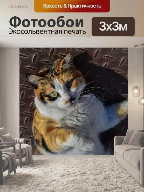 Фотообои Кошка