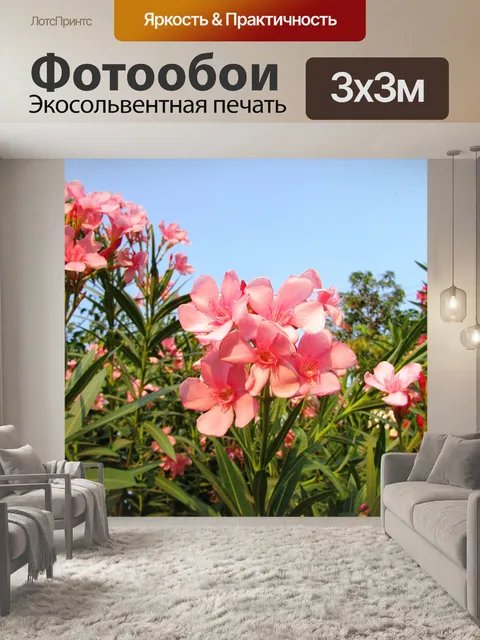 Фотообои Полевые цветы