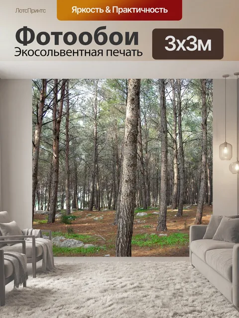 Фотообои Лес