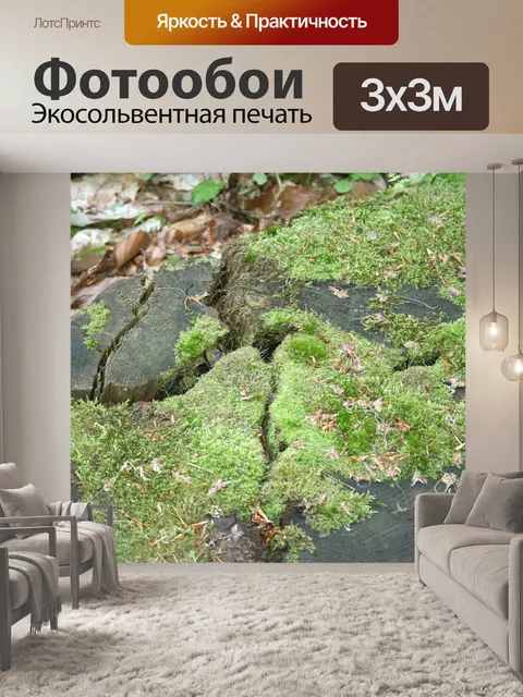 Фотообои Пень