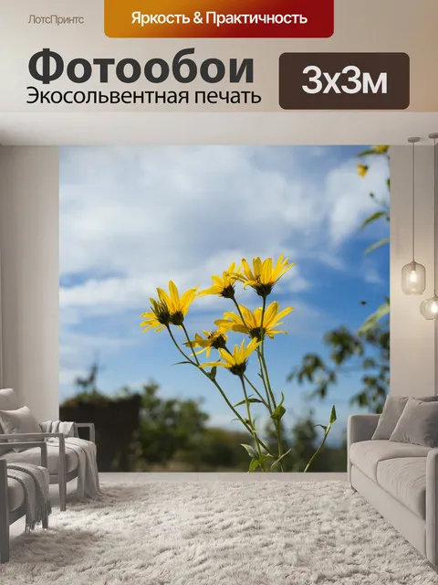 Фотообои Цветы