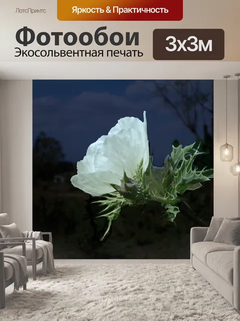 Фотообои Цветок