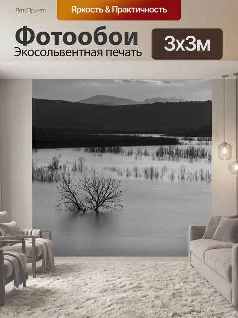 Фотообои Черно-белый