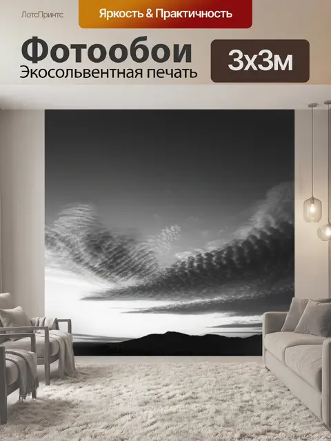 Фотообои фото пейзаж с закатом чернобелый