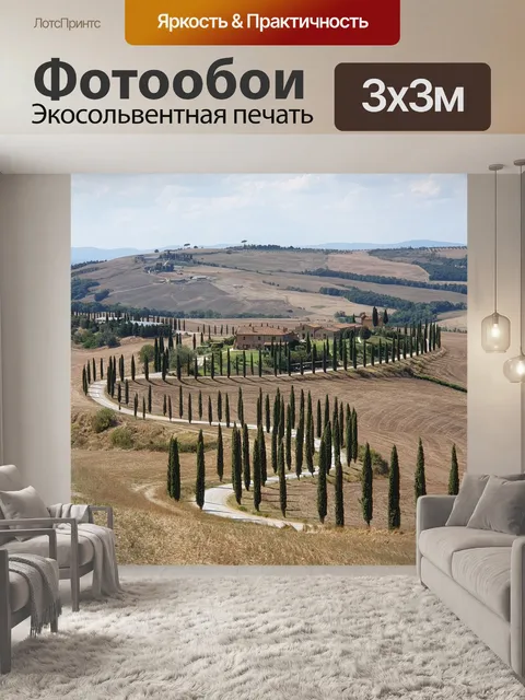 Фотообои Дорога