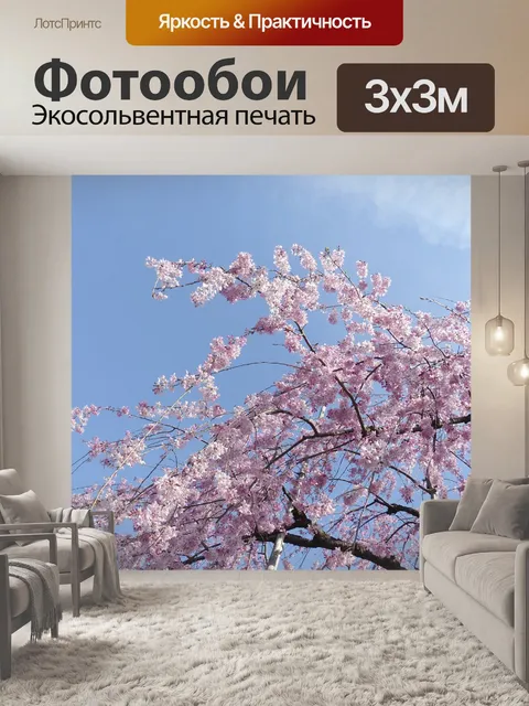 Фотообои Сакура