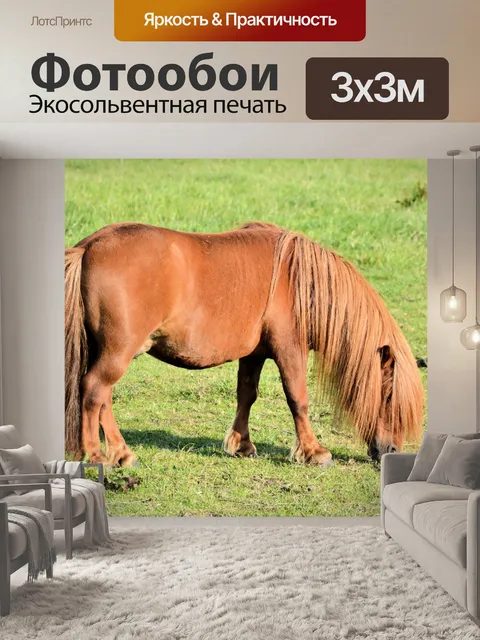 Фотообои Лошади