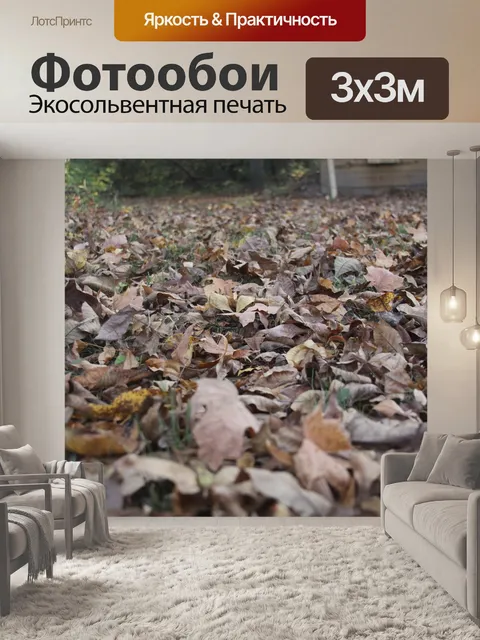 Фотообои Земля