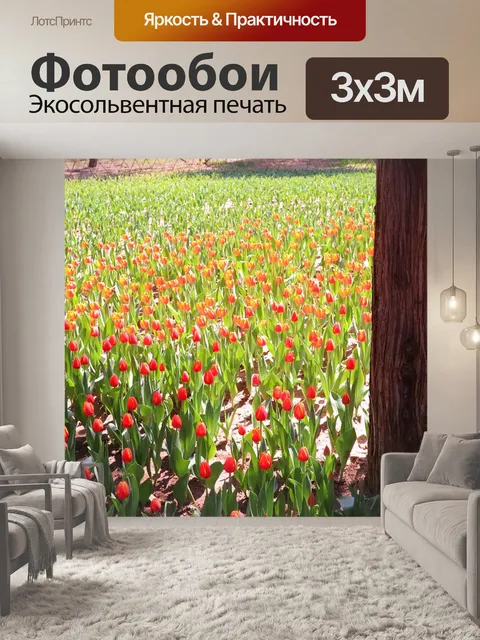 Фотообои Парк цзиншань