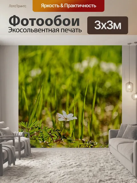 Фотообои Анемоны