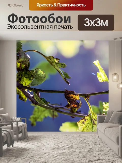 Фотообои Листья