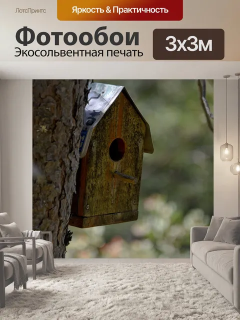 Фотообои The Birdhouse