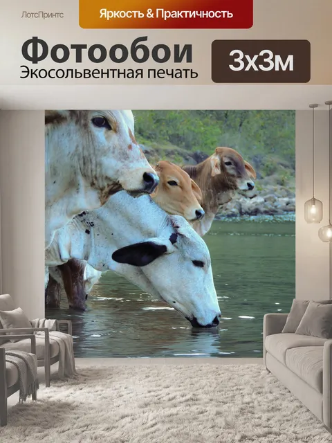 Фотообои Животные