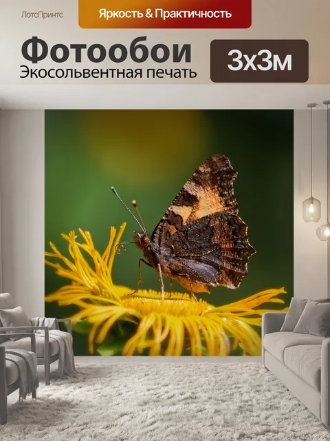 Фотообои Лето