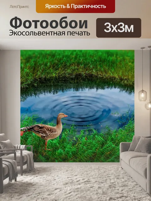Фотообои Птица