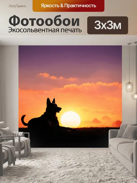 Фотообои вечерний пейзаж с немецкой овчаркой, лежащей на фоне заката