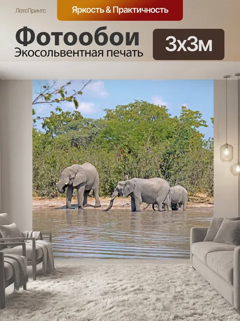 Фотообои африканский слон в воде